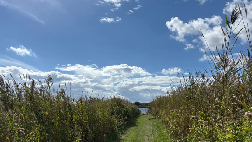 IMG_4830.jpeg